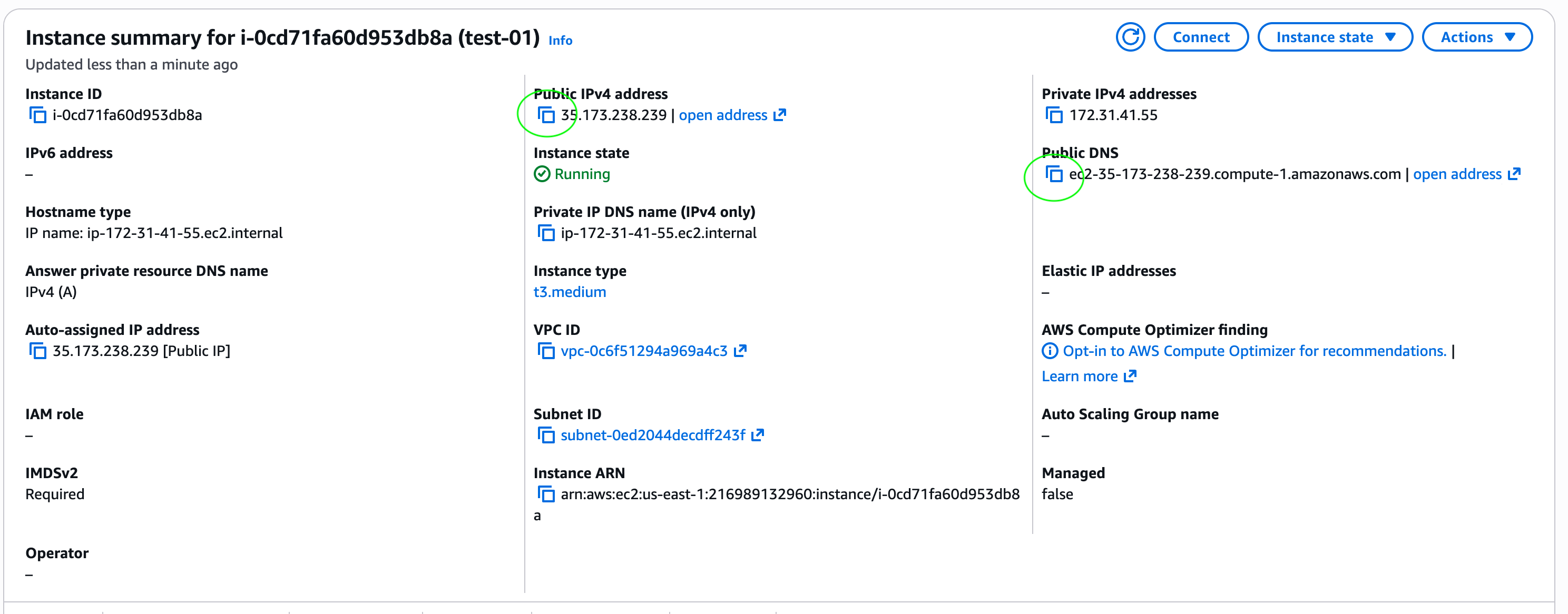 AWS EC2 instance summary showing public IPv4 address and public DNS copy buttons