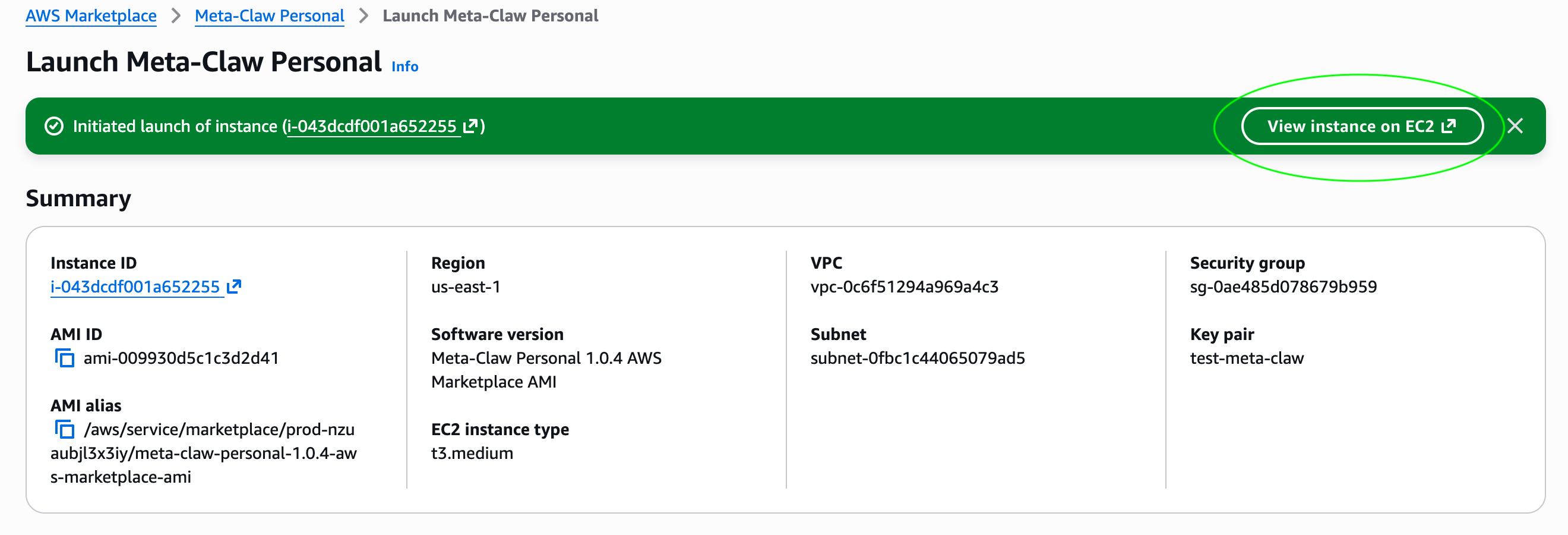 AWS Marketplace launch confirmation page with View instance on EC2 highlighted
