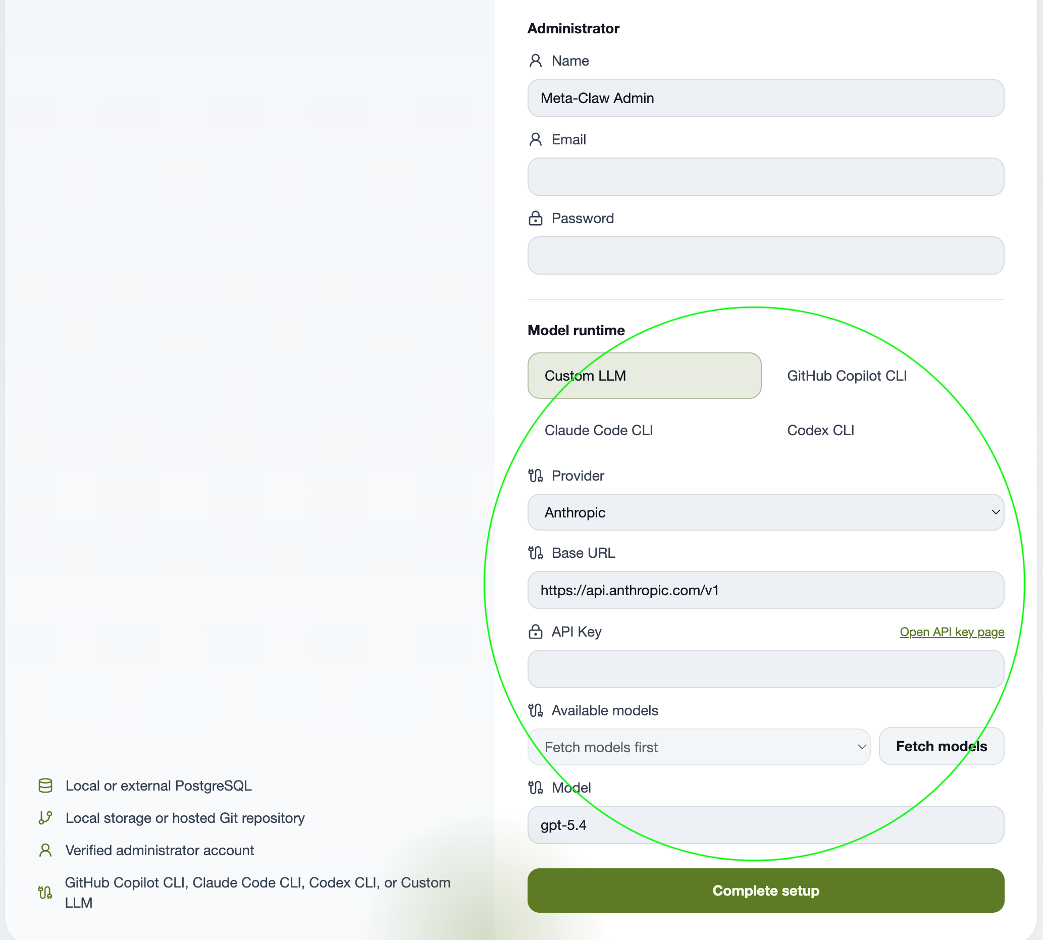 Meta-Claw setup page showing the Model runtime section for custom LLM service configuration